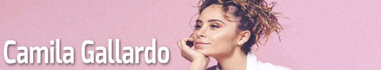 artist banner