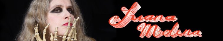 artist banner