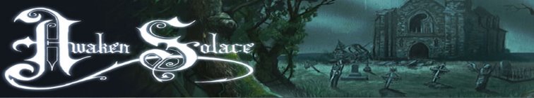 artist banner