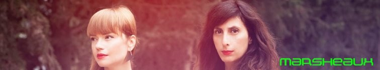 artist banner