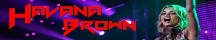 artist banner