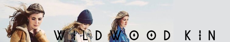 artist banner
