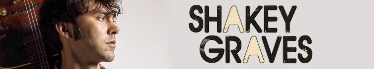 artist banner