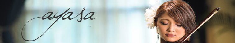 artist banner