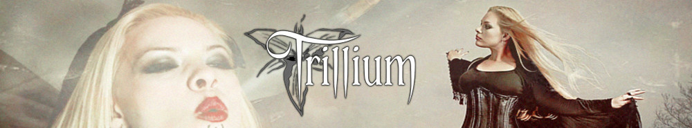 Trillium — Photo