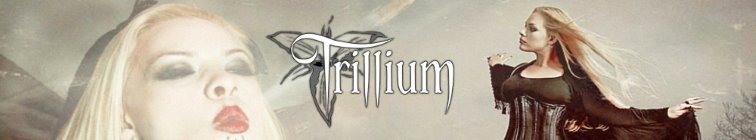 artist banner