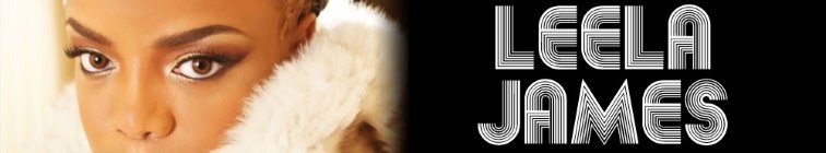 artist banner