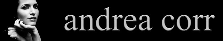 artist banner