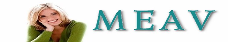 artist banner