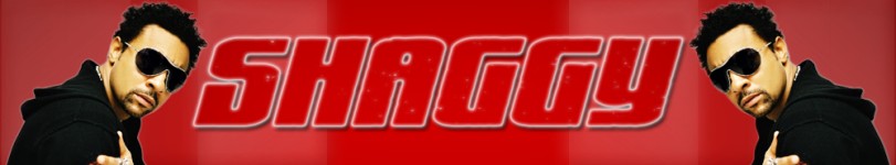 artist banner