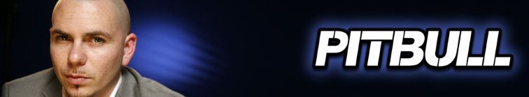 artist banner