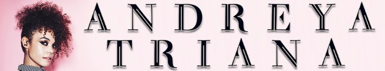 artist banner
