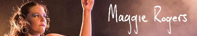 artist banner