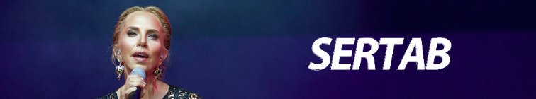artist banner