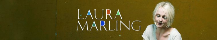 artist banner