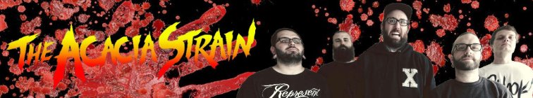 artist banner