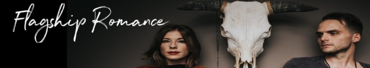 artist banner