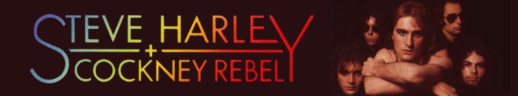 artist banner