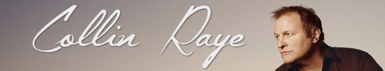 artist banner