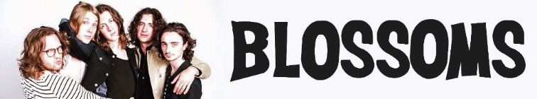 artist banner
