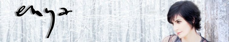 artist banner