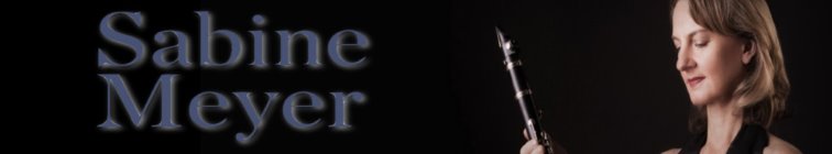artist banner