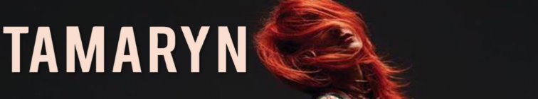 artist banner