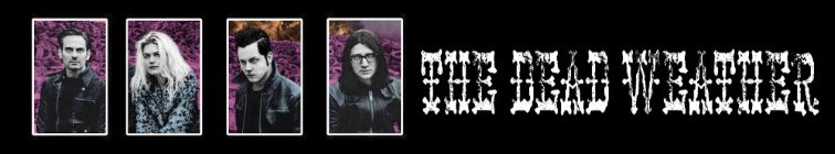 artist banner