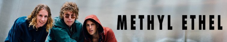 artist banner