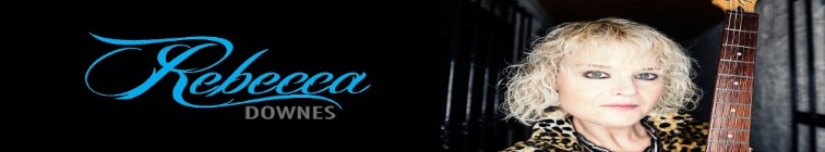 artist banner