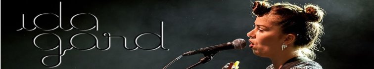 artist banner