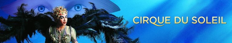 artist banner