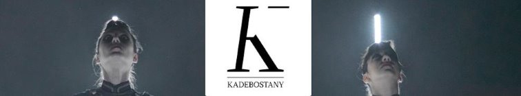 artist banner