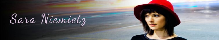 artist banner