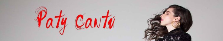 artist banner