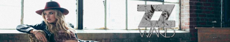 artist banner
