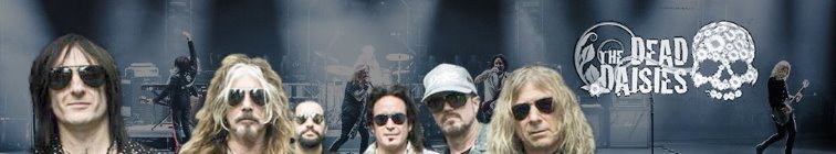 artist banner