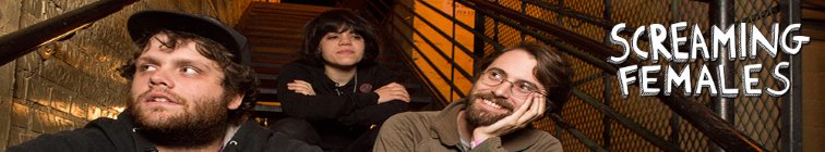 artist banner