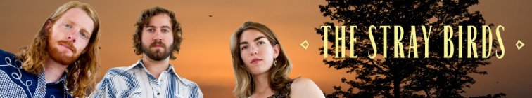 artist banner