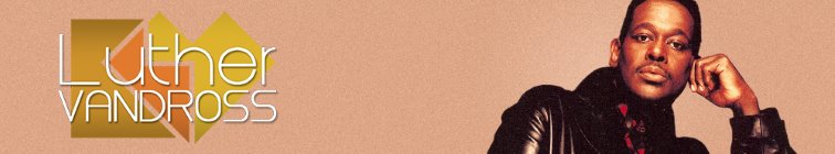 artist banner