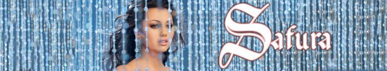artist banner