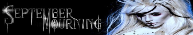 artist banner