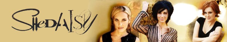 artist banner
