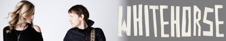 artist banner