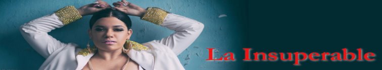 artist banner