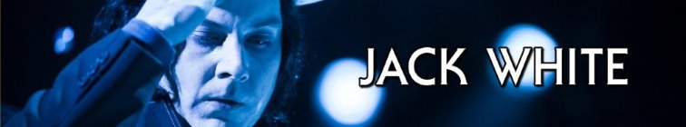 artist banner
