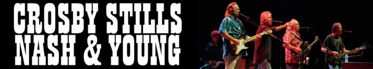 artist banner