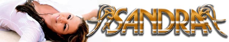 artist banner