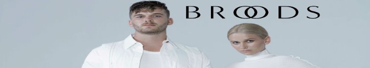 artist banner