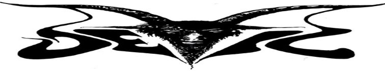 artist banner